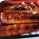 Unagi Ryouriaoki - 