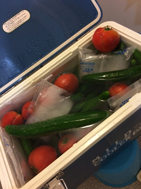 自然農園MITU畑deマルシェ（しぜんのうえんみつ ハタケデマルシェ） - 陸前高砂（その他）の写真