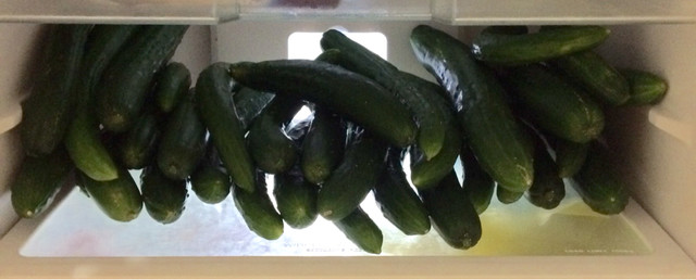 自然農園MITU畑deマルシェ（しぜんのうえんみつ ハタケデマルシェ） - 陸前高砂（その他）の写真