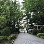 メルシー - 大隈庭園入口付近