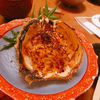 すし屋のさい藤 札幌本店 - 