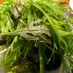 レストランユニック - 湘南野菜のサラダ