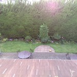 佛蘭西料理 名古屋 - 