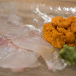 うを徳 - 2017.7 お造り（明石鱸、礼文バフンウニ）