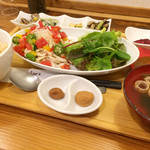 sakura食堂 - 