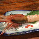 旬魚旬菜まるとび - 