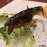 日本料理 TOBIUME - 天龍鮎