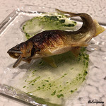 日本料理 TOBIUME - 天龍鮎