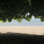 渚亭 - 鳥が舞い降りる砂浜