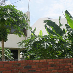 渚亭 - お庭にパパイヤとバナナの木