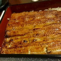 鰻割烹 伊豆栄 本店 - うな重（梅）