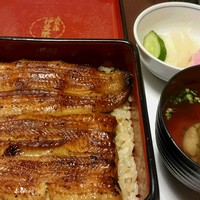 鰻割烹 伊豆栄 本店 - うな重（竹）