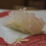 鮨 井上 - ヤリイカ