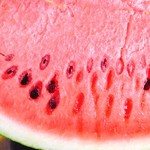 サンハート下原スイカ直売所 - シャキッと甘いスイカの断面