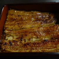 つきじ宮川本廛 - 