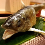 美酒美食 平田 - 