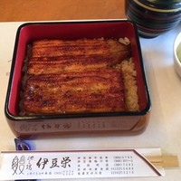 鰻割烹 伊豆栄 本店 - うな重　竹