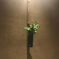 うち山 - 