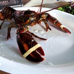 CORE BBQ GARDEN & BAR - 