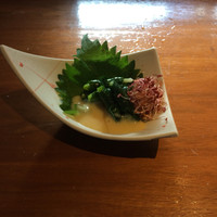 馬桜 下通り店 - 人文字ぐるぐる  ワケギを巻いたものを酢味噌で頂く郷土料理