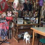 峠の茶屋 - 看板犬