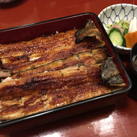 うなぎ割烹 大江戸 - 
