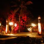 Fish Eye Marine Park - 