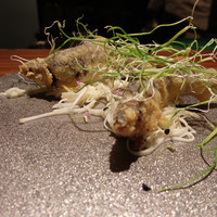 TACUBO - 