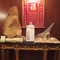 中国料理 皇家龍鳳 - 入り口のさめのデコレーション