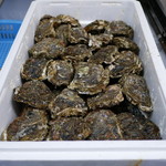 魚売り処　新鮮家 - 岩ガキ