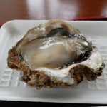 魚売り処　新鮮家 - 岩ガキ