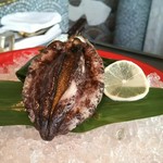 表参道うかい亭 - 