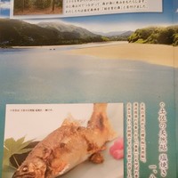 土佐料理 祢保希 新宿店 - 