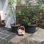 サ・マーシュ - 