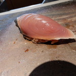 菊鮨 - ハガツオ