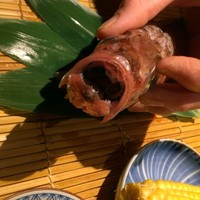 のどぐろ専門 銀座 中俣 - 