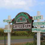 Green World Coffee Farm - 