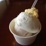 シーガル - ダブルカップ 400円 (下.いちご・上.ティラミス)
上の黄色いマンゴーはおまけ(^^)