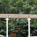 Green World Coffee Farm - 