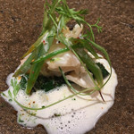 レヴォ - 射水　大越中バイ貝