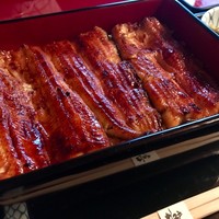 うなぎ割烹 大江戸 - うな重(やよい) ＋ 赤だし