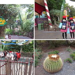 Mendocino Terrace  - 