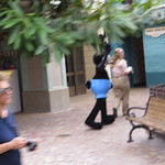 Mendocino Terrace  - 