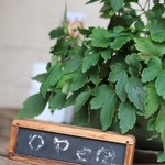 洛叉庵 - 　入り口前