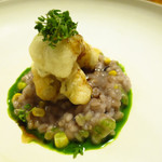 セララバアド - 