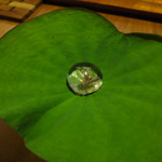 セララバアド - 