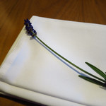 セララバアド - 