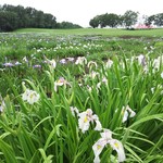 八紘学園 農産物直売所 - 