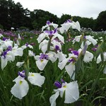 八紘学園 農産物直売所 - 