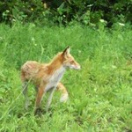 八紘学園 農産物直売所 - 